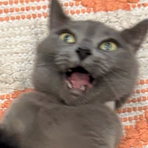 seagremlin